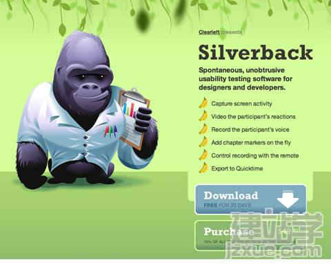 silverback