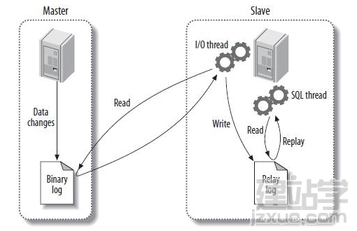 MySQL