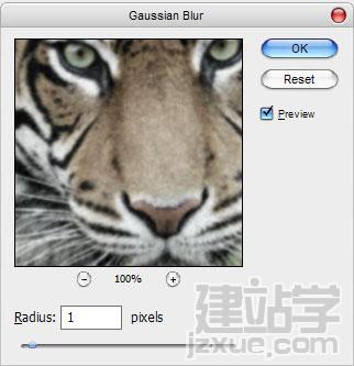 PhotoshopƬЧ
