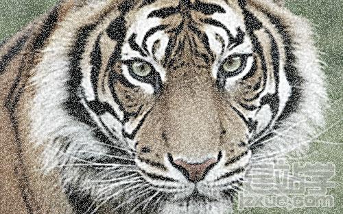PhotoshopƬЧ