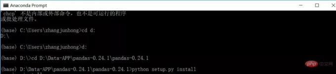 python-22.jpg